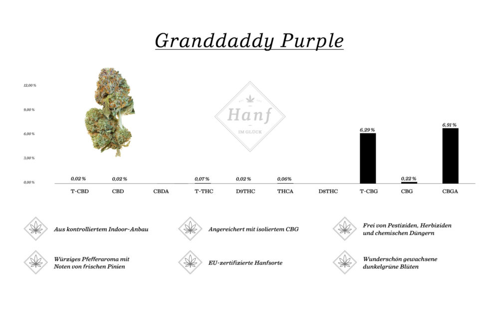 Barchart Granddaddy Purple 6,29% CBG