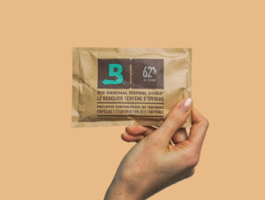 Boveda