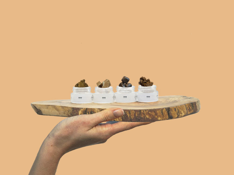 Probierset Pollinate