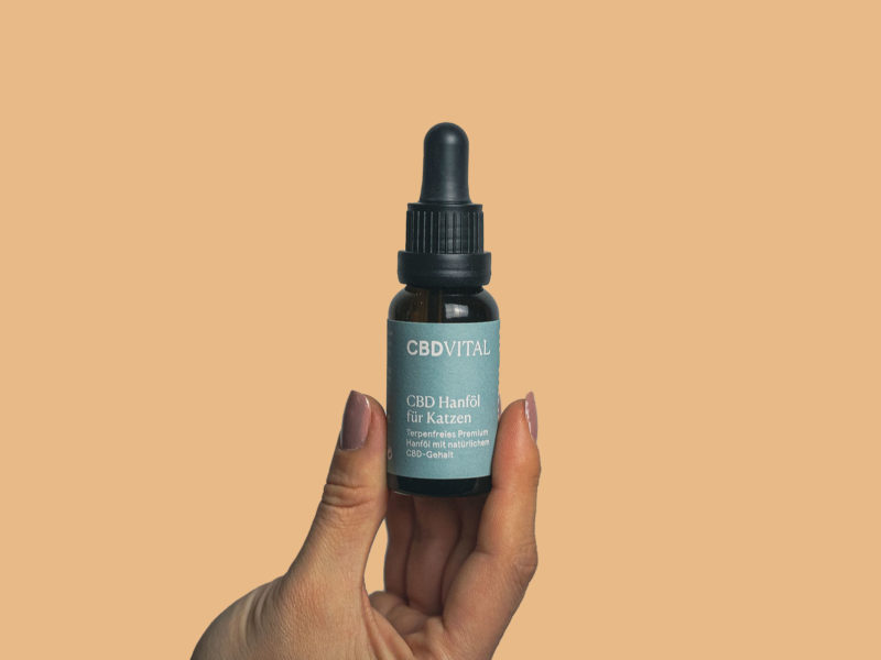 CBD Vital Hanföl für Katzen