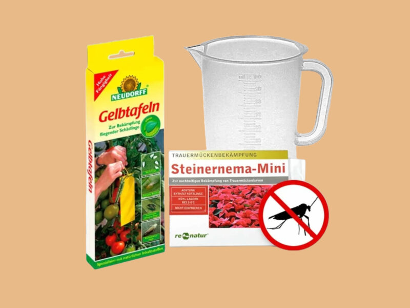 SOS Trauermücken Set