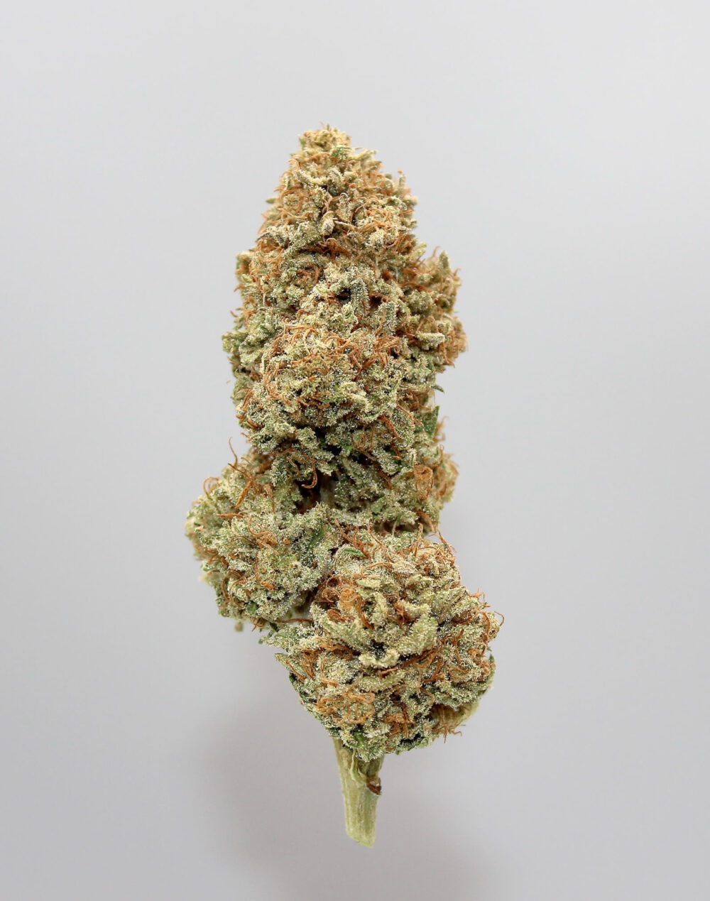 Bio CBD Blüten – Bild 2
