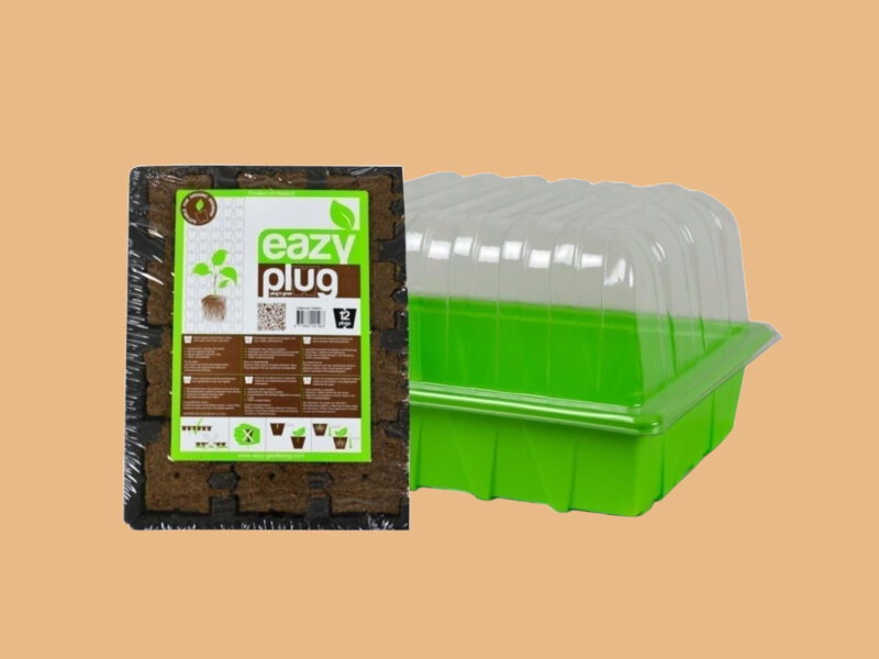 Eazy Plug Gewächshaus mit 12 Anzuchtwürfel