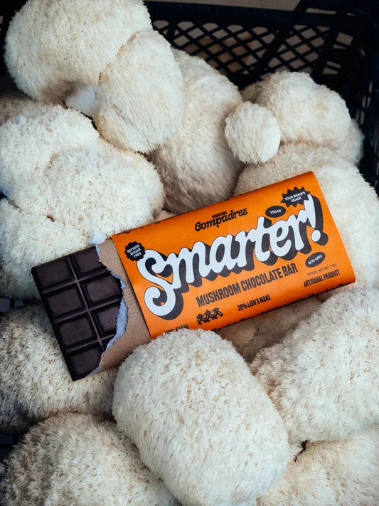 Mushroom Schokolade