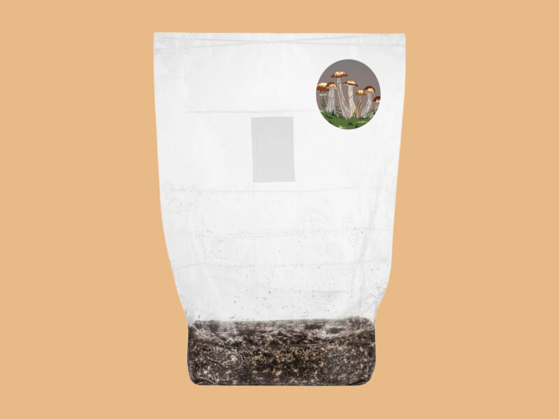 Magic Mushroom Growkit