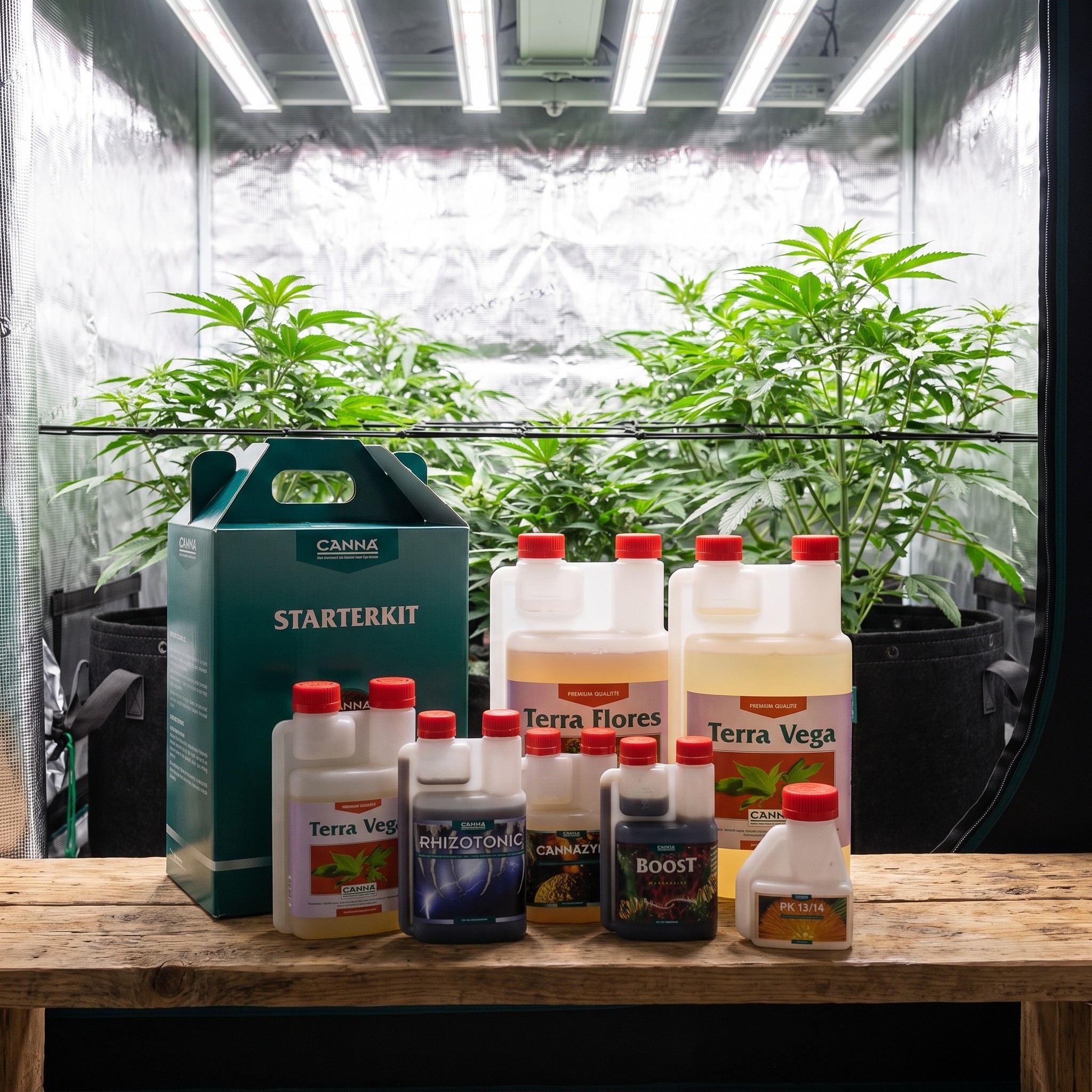 Canna Terra StarterKit – Canna Terra StarterKit steht im aufgeräumten Growzelt auf einem Holzregal