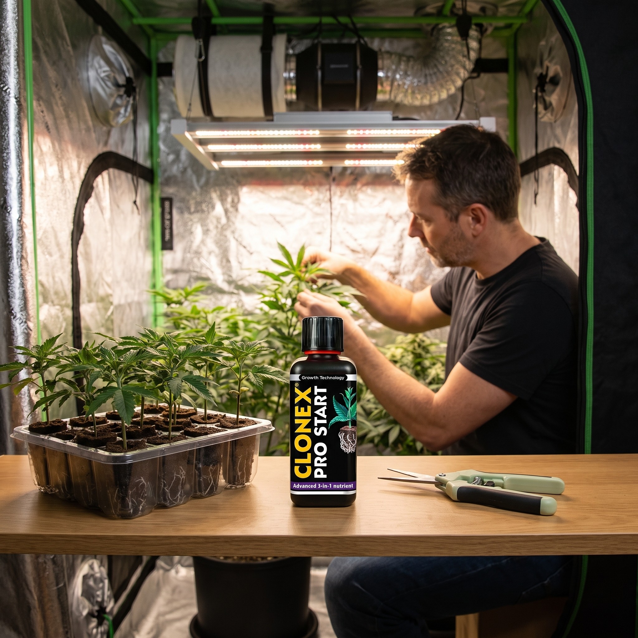Clonex – Clonex-Flasche steht in einem aufgeräumten Homegrow-Zelt