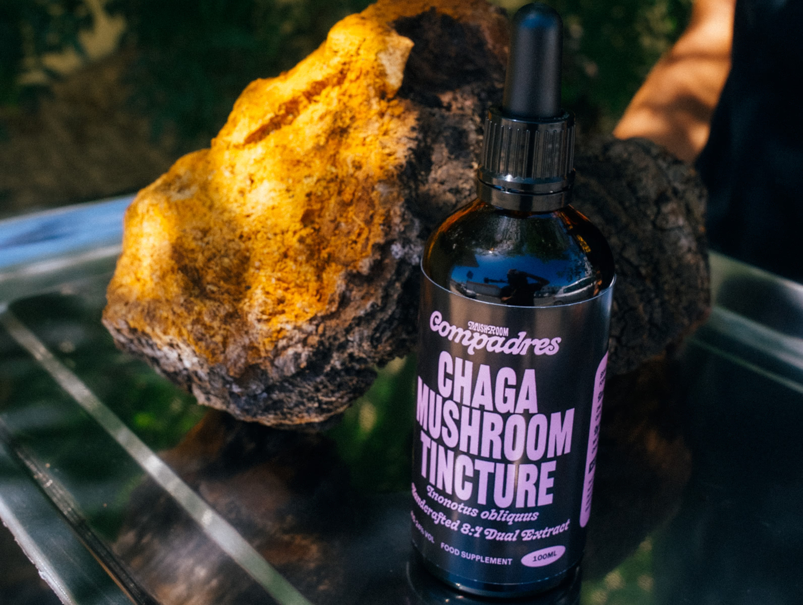 Mushroom Compadres Chaga Tinktur Lifestyle