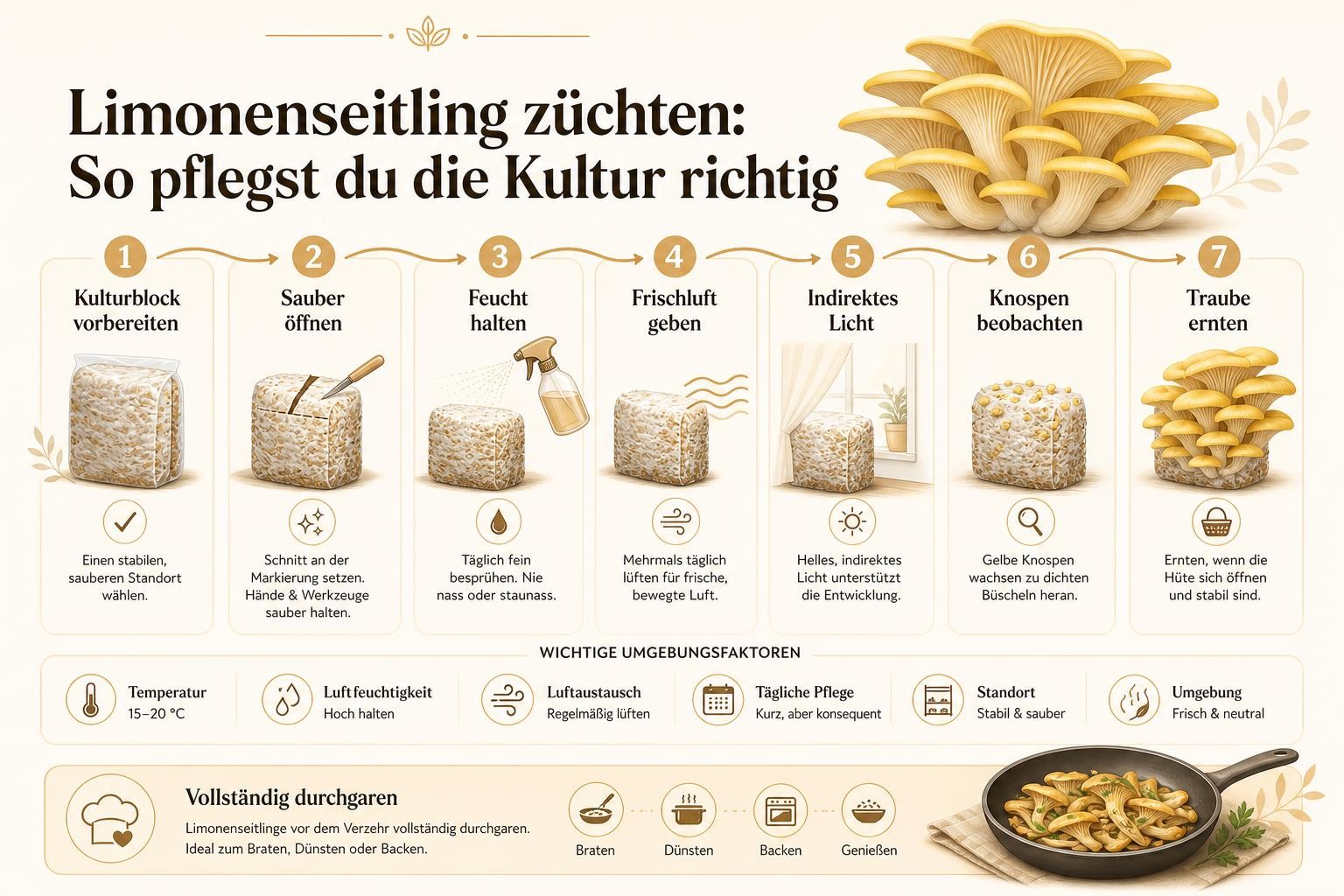 Infografik: Limonenseitling züchten: So pflegst du die Kultur richtig